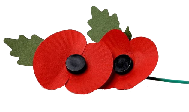 Poppies