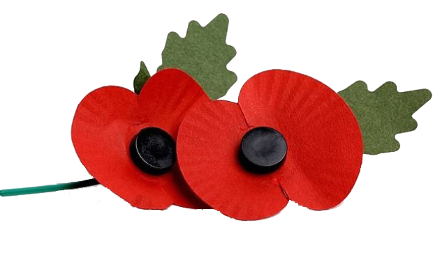 Poppies